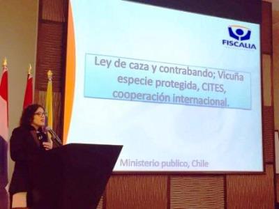 Camila Cruz expuso en el evento organizado por la Red Latinoamericana de Ministerio Público Ambiental en Panamá.