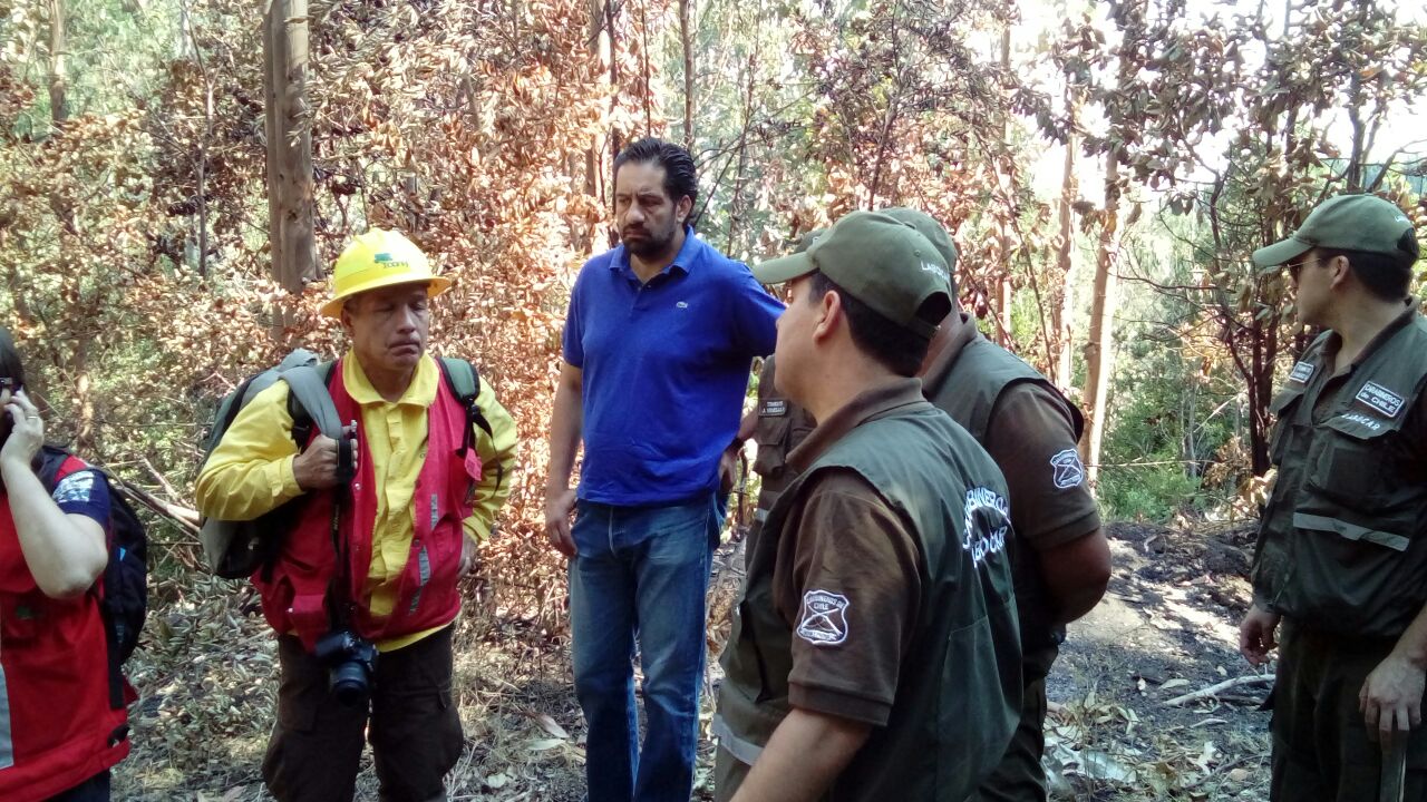 Fiscalía del Biobío comenzó levantamiento de evidencias en zona de incendio de Florida