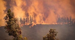 Fiscalía encabeza diligencias para establecer causa y origen de voraz incendio 