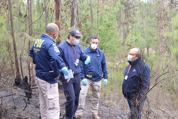 Fiscal Osvaldo Ossandón inspeccionó en lugar donde se habría iniciado el fuego