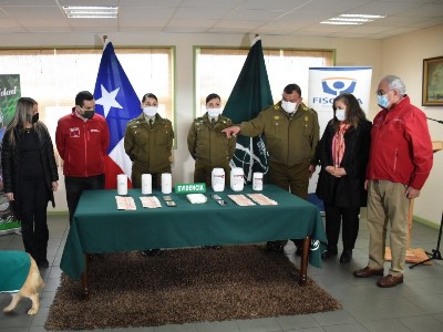 En control sanitario de San Pablo fue detectada droga destinada a consumidores de la Región de Los Lagos.