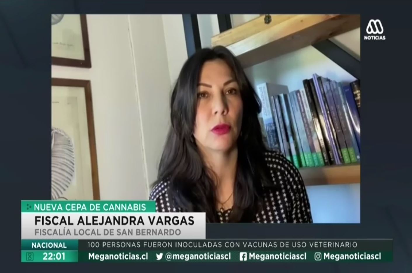 Alejandra Vargas, Fiscal Adjunta de Fiscalía Local San Bernardo.