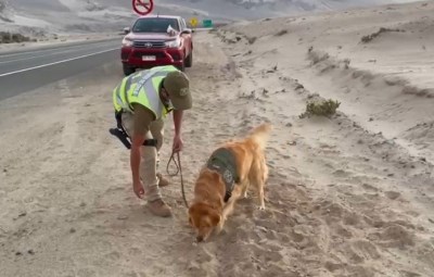 El procedimiento del OS-7 de Carabineros se desarrolló en las cercanías de esta comuna. 