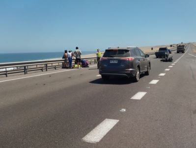 El atropello ocurrió en la ruta A 1, a la altura de la playa Lobitos, al sur de Iquique.